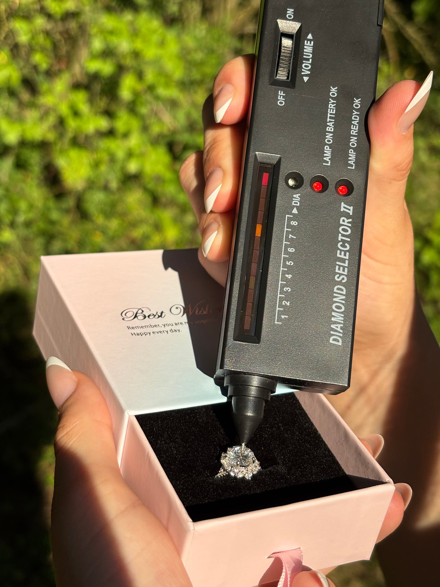 ALERA – Signature Ring