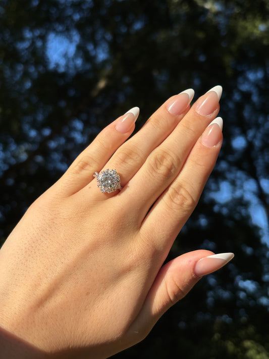 ALERA – Signature Ring